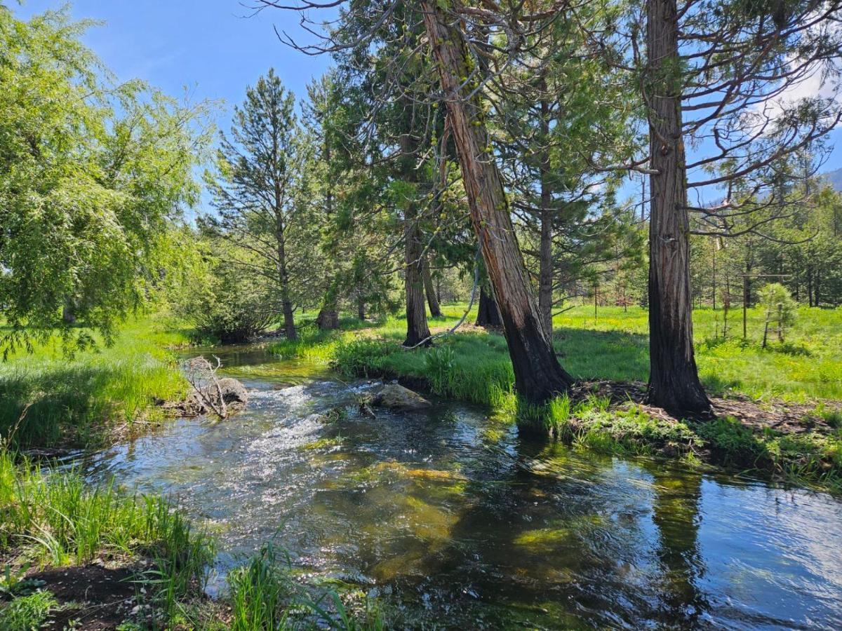 The Black Forest Lodge Red Bluff Exteriör bild